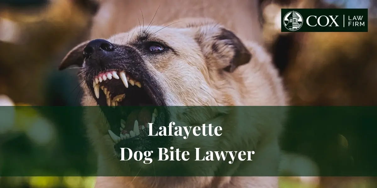 lafayette dog bite lawyer